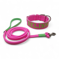 Coleira Para Cachorro Personalizada + Guia de Pass... - Amorosso