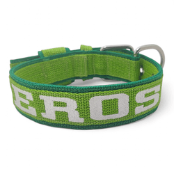 Coleira Fit Lite Personalizada Nome Cachorro Amoro... - Amorosso