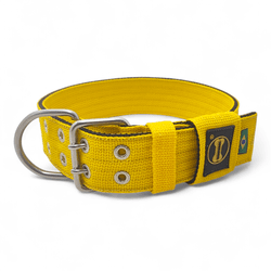 Coleira Para Cachorro Amorosso (amarelo e preto) -... - Amorosso