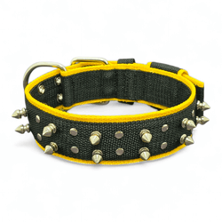 LQ Coleira Amorosso Spike (preto e amarelo) - LQ 74 - Amorosso