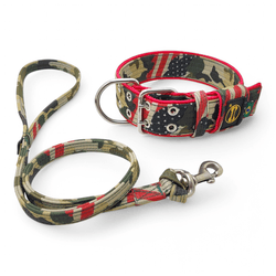 Coleira Amorosso® Camuflado USA + Guia USA BV - 40... - Amorosso
