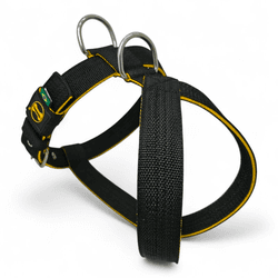 Peitoral Amorosso® Tradicional (preto e amarelo) - 7001-014-001 - Amorosso