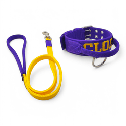 Coleira Para Cachorro Personalizada + Guia de Pass... - Amorosso