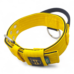 Coleira Para Cachorro Poderosso - Amarelo e Preto ... - Amorosso