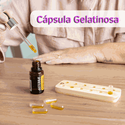 Cápsulas 0 Gelatinosas Vazias - Incolor Pack c/ 5000 - Aroma Acessórios