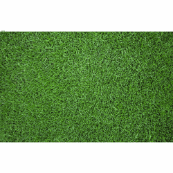 Tapete Decorativo Temático Grama - Loja | Bibi Painéis