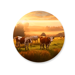 Capa Painel Redondo Decorativo Tema Agro Country F... - Loja | Bibi Painéis