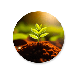 Capa Painel Redondo Decorativo Tema Agro Country F... - Loja | Bibi Painéis