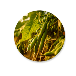 Capa Painel Redondo Decorativo Tema Agro Country F... - Loja | Bibi Painéis