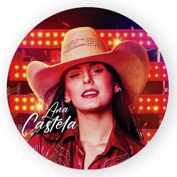 Capa Painel Redondo Decorativo Tema Ana Castela De... - Loja | Bibi Painéis