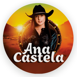 Capa Painel Redondo Decorativo Tema Ana Castela De... - Loja | Bibi Painéis