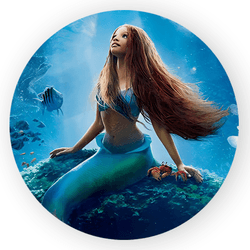 Capa Painel Redondo Decorativo Tema Ariel Princesa... - Loja | Bibi Painéis