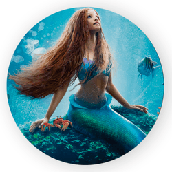 Capa Painel Redondo Decorativo Tema Ariel Princesa... - Loja | Bibi Painéis