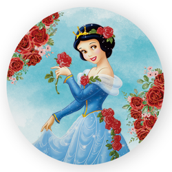 Capa Painel Redondo Decorativo Tema Princesa Branc... - Loja | Bibi Painéis
