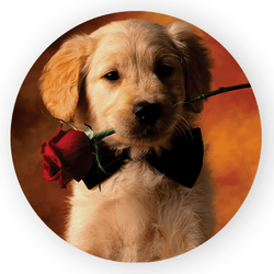 Capa Painel Redondo Decorativo Tema Cachorrinho Pe... - Loja | Bibi Painéis