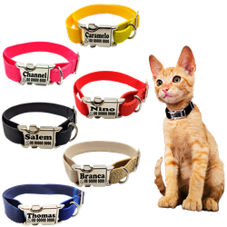 Coleira Anti-Enforcamento para Gatos com metais ní... - Brincadeira Animal
