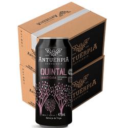 Jabuticaba 473ml caixa c/12 (R$ 15,69 a unidade) -... - Cervejaria Antuérpia