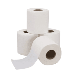 Papel Higiênico Folha Dupla 30 metros x 10 - 4 rol... - César Embalagens