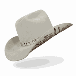 Chapéu Country Amuleto Gelo Aba 10 Aveludado Uniss... - CLUB 21 COUNTRY