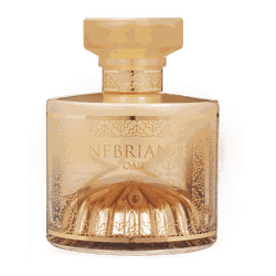 Inebriante Oasis Elixir Parfum 100ml - 011045 - Edinaldo Hinode