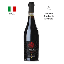 Cortesole Amarone Della Valpolicella - Enoteca Cursino