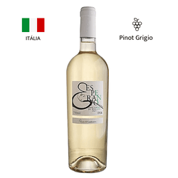 Esperanto Pinot Grigio - Enoteca Cursino