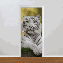 Adesivo para Porta - Tigre Branco - 052a003 - Inter Adesivos Decorativos