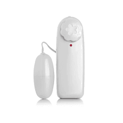 Vibrador Bullet Cápsula Vibratória com controle - ... - L'amour Boutique Erótica