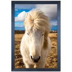 Cavalo 01 - Quadro com Moldura - Preto, Marrom, Rú... - Las Quadros