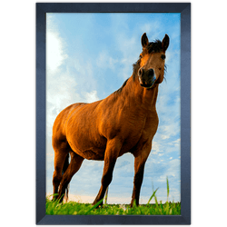 Cavalo 02 - Quadro com Moldura - Preto, Marrom, Rú... - Las Quadros