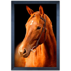 Cavalo 05 - Quadro com Moldura - Preto, Marrom, Rú... - Las Quadros