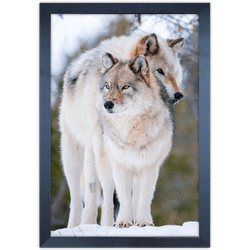 Lobo 01 - Quadro com Moldura - Preto, Marrom, Rúst... - Las Quadros