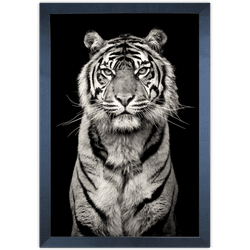 Tigre 04 - Quadro com Moldura - Preto, Marrom, Rús... - Las Quadros