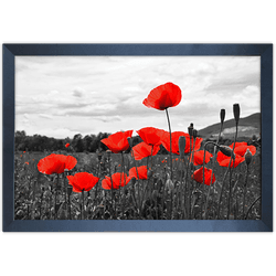 Branco e Vermelho 09 - Quadro com Moldura - Preto,... - Las Quadros