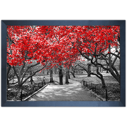 Branco e Vermelho 10 - Quadro com Moldura - Preto,... - Las Quadros