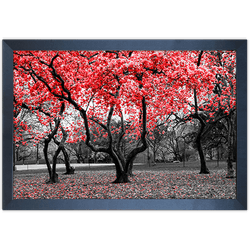 Branco e Vermelho 15 - Quadro com Moldura - Preto,... - Las Quadros