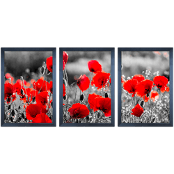 Conjunto 35 - Imagem Preto e Dourado com 3 Quadros... - Las Quadros