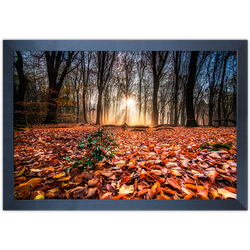 Paisagem 10 - Quadro com Moldura - Preto, Marrom, ... - Las Quadros