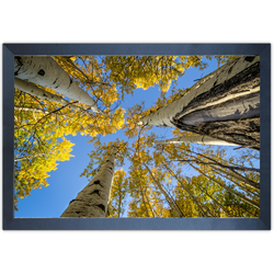 Paisagem 12 - Quadro com Moldura - Preto, Marrom, ... - Las Quadros