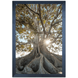 Paisagem 13 - Quadro com Moldura - Preto, Marrom, ... - Las Quadros