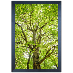 Paisagem 14 - Quadro com Moldura - Preto, Marrom, ... - Las Quadros