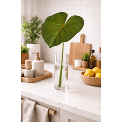 Haste Folha Homalomena Real Toque Verde Outono 75c... - BARBIZAN DECORE