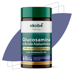 Glucosamina e Ácido Hialurônico + Colágeno Tipo II... - Loja Ekobé