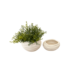 Dupla Cachepot Zen - Elegância e Versatilidade par... - Marcia Helena Decorações