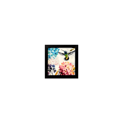 Quadro 20x20 Beija-Flores - Moldura Preta - 000070... - Marcia Helena Decorações
