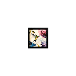 Quadro 20x20 - Beija-Flores - Moldura Preta - 0000... - Marcia Helena Decorações