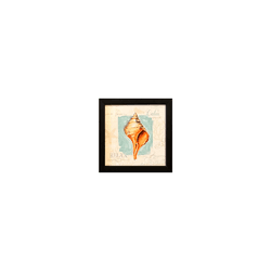 Quadro 20x20 - Conchas - 00007081113-C1 - Marcia Helena Decorações