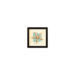Quadro 20x20 - Conchas - 00007081113-C2 - Marcia Helena Decorações