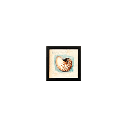 Quadro 20x20 - Conchas - 00007081113-C3 - Marcia Helena Decorações