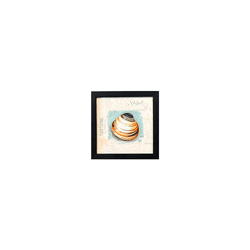 Quadro 20x20 - Conchas - 00007081113-C4 - Marcia Helena Decorações